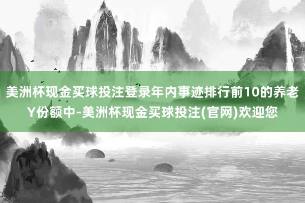 美洲杯现金买球投注登录年内事迹排行前10的养老Y份额中-美洲杯现金买球投注(官网)欢迎您