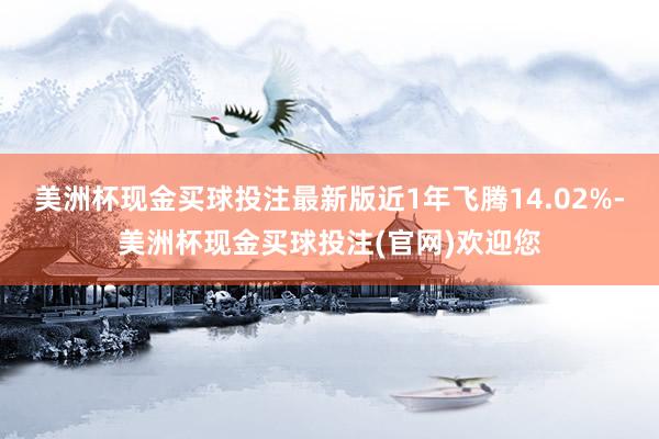 美洲杯现金买球投注最新版近1年飞腾14.02%-美洲杯现金买球投注(官网)欢迎您