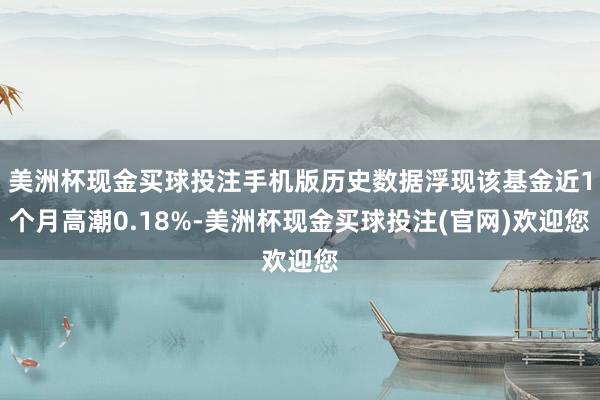 美洲杯现金买球投注手机版历史数据浮现该基金近1个月高潮0.18%-美洲杯现金买球投注(官网)欢迎您