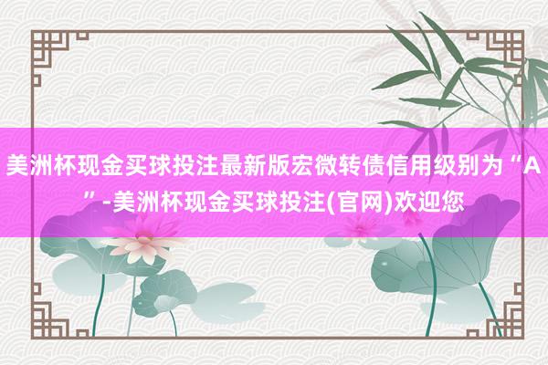 美洲杯现金买球投注最新版宏微转债信用级别为“A”-美洲杯现金买球投注(官网)欢迎您