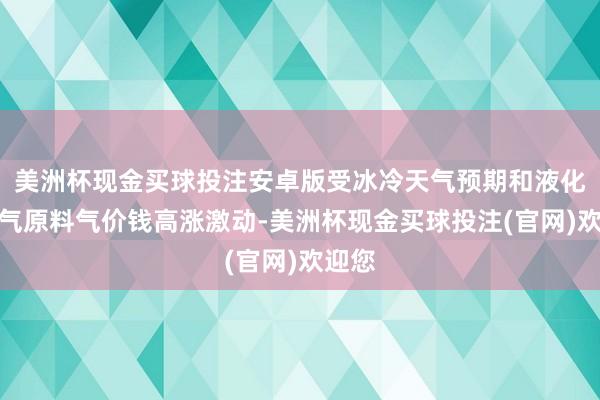 美洲杯现金买球投注安卓版受冰冷天气预期和液化自然气原料气价钱高涨激动-美洲杯现金买球投注(官网)欢迎您