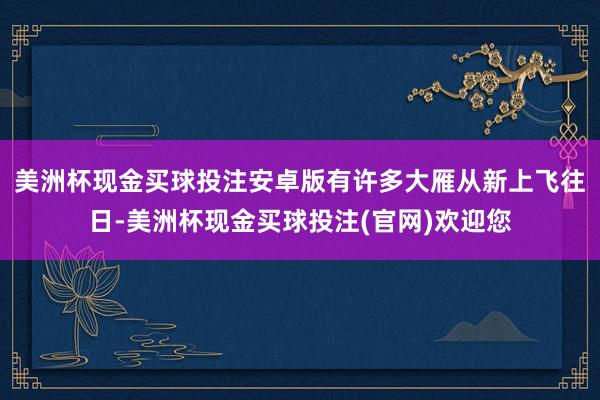 美洲杯现金买球投注安卓版有许多大雁从新上飞往日-美洲杯现金买球投注(官网)欢迎您