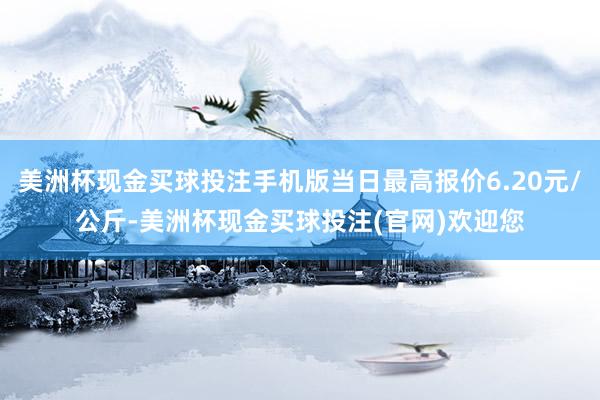 美洲杯现金买球投注手机版当日最高报价6.20元/公斤-美洲杯现金买球投注(官网)欢迎您