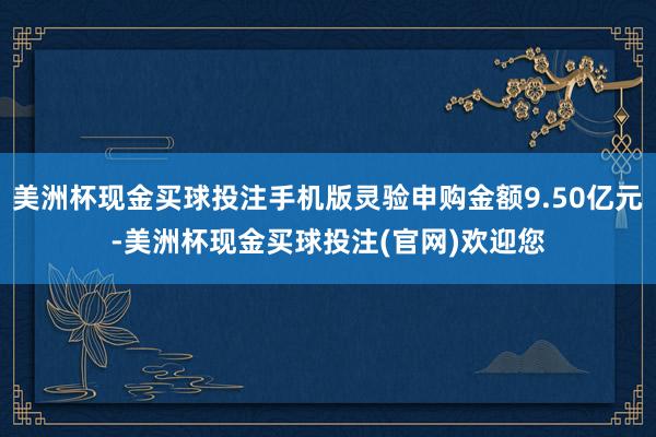 美洲杯现金买球投注手机版灵验申购金额9.50亿元-美洲杯现金买球投注(官网)欢迎您